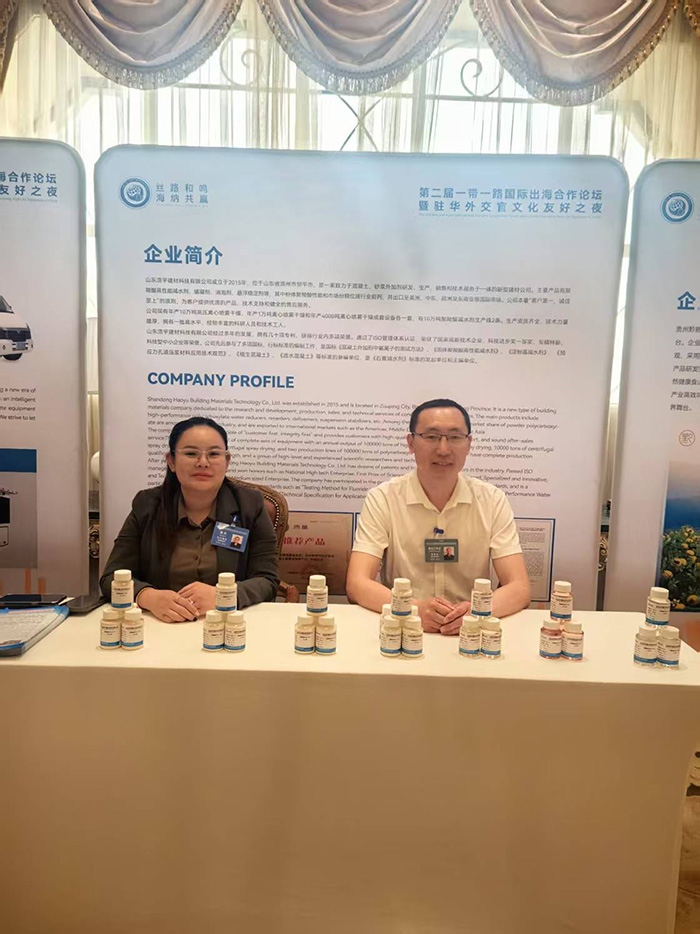 山东浩宇建材科技有限公司参加一路一带国际出海合作论坛，董事长张豹作为贵宾出席会议。